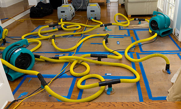 Professional Water Extraction technician working in Delano, MN